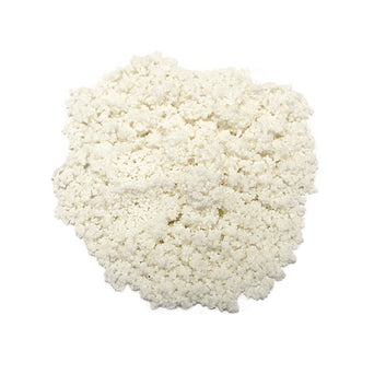 FUTURA Salt-free Softner Replacement Media 1 liter per unit