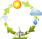 Water Cycle